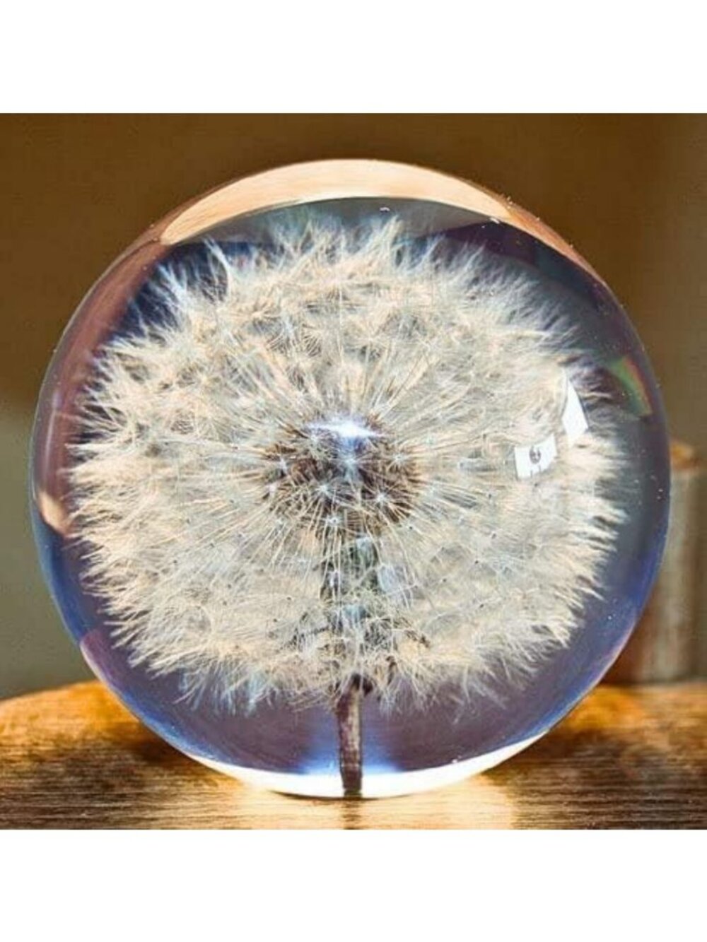 Dandelion Dream Crystal Paperweight - Unique Gift for Birthdays, Weddings
